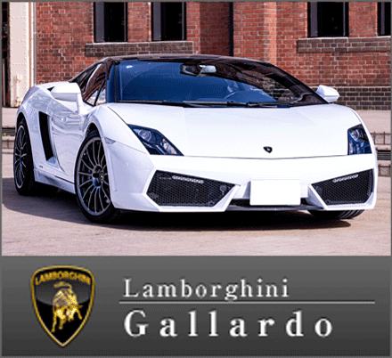 Lamborghini(ランボルギーニ)Gallardo LP560-4 Bicolore（ガヤルドLP560-4 ビコローレ）